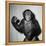 A Chimp, 1955-null-Framed Premier Image Canvas