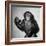 A Chimp, 1955-null-Framed Photographic Print