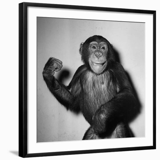 Photographic Print, , large