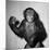 A Chimp, 1955-null-Mounted Photographic Print