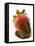 A Chocolate-Dipped Strawberry-Greg Elms-Framed Premier Image Canvas
