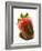 A Chocolate-Dipped Strawberry-Greg Elms-Framed Photographic Print