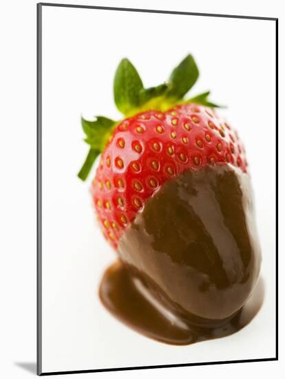 A Chocolate-Dipped Strawberry-Greg Elms-Mounted Photographic Print