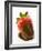 A Chocolate-Dipped Strawberry-Greg Elms-Framed Photographic Print