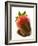 A Chocolate-Dipped Strawberry-Greg Elms-Framed Photographic Print