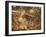 A Chocolate Labrador with a Ball in its Mouth Surrounded by Rain Soaked Foliage-Alex Saberi-Framed Photographic Print