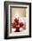 A Christmas Cupcakes in an Icing Sugar Snowstorm-Rogério Voltan-Framed Photographic Print