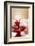 A Christmas Cupcakes in an Icing Sugar Snowstorm-Rogério Voltan-Framed Photographic Print