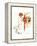 A Christmas Prayer-Norman Rockwell-Framed Premier Image Canvas