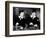 A Chump at Oxford, 1940-null-Framed Photographic Print