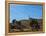 A Church Near Lake Titicaca-Alex Saberi-Framed Premier Image Canvas