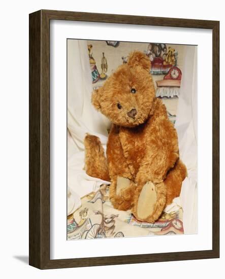 A Cinnamon Steiff Teddy Bear, circa 1905-Steiff-Framed Giclee Print