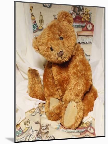 A Cinnamon Steiff Teddy Bear, circa 1905-Steiff-Mounted Giclee Print