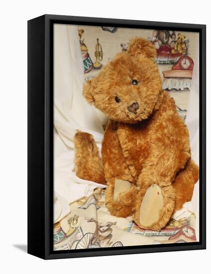 A Cinnamon Steiff Teddy Bear, circa 1905-Steiff-Framed Premier Image Canvas