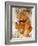 A Cinnamon Steiff Teddy Bear, circa 1905-Steiff-Framed Giclee Print