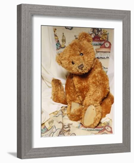 A Cinnamon Steiff Teddy Bear, circa 1905-Steiff-Framed Giclee Print