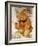A Cinnamon Steiff Teddy Bear, circa 1905-Steiff-Framed Giclee Print