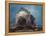 A City on a Rock, 1850-75-Francisco de Goya-Framed Premier Image Canvas