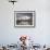 A Citycat Ferry Cruises Beneath Brisbane's Story Bridge Towards City Centre, Brisbane, Australia-Andrew Watson-Framed Photographic Print displayed on a wall