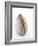 A Clam-Alain Caste-Framed Photographic Print