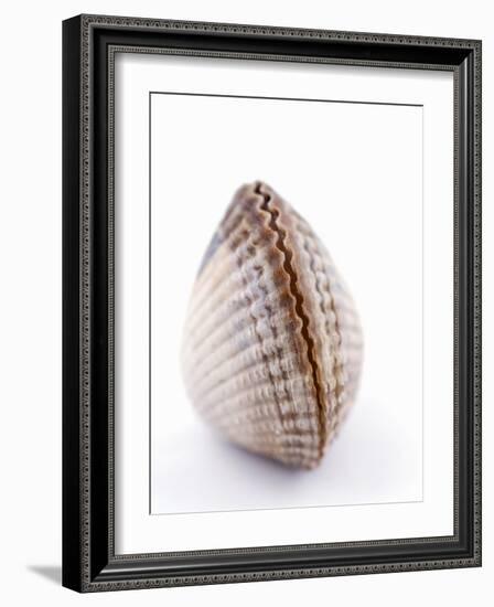 A Clam-Alain Caste-Framed Photographic Print