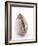 A Clam-Alain Caste-Framed Photographic Print