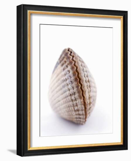 A Clam-Alain Caste-Framed Photographic Print