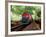 A Classic Vintage Cargo Train in America-Salvatore Elia-Framed Photographic Print