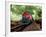 A Classic Vintage Cargo Train in America-Salvatore Elia-Framed Photographic Print