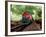 A Classic Vintage Cargo Train in America-Salvatore Elia-Framed Photographic Print