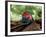 A Classic Vintage Cargo Train in America-Salvatore Elia-Framed Photographic Print