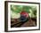 A Classic Vintage Cargo Train in America-Salvatore Elia-Framed Photographic Print