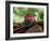 A Classic Vintage Cargo Train in America-Salvatore Elia-Framed Photographic Print