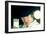 A Clockwork Orange, Malcolm Mcdowell, 1971-null-Framed Premium Photographic Print