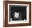 A Clockwork Orange-null-Framed Photo