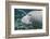 A Close-Up Head Profile of a Manatee in Fanning Springs State Park, Florida-Stocktrek Images-Framed Photographic Print