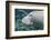 A Close-Up Head Profile of a Manatee in Fanning Springs State Park, Florida-Stocktrek Images-Framed Photographic Print