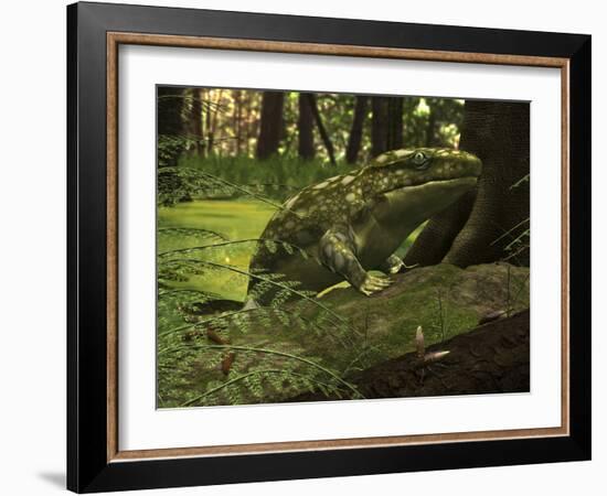 A Close-Up of a Three Foot Long Ichthyostega from the Late Devonian Period-Stocktrek Images-Framed Photographic Print