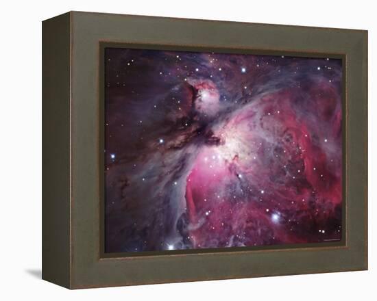 A Close up of the Orion Nebula-Stocktrek Images-Framed Premier Image Canvas