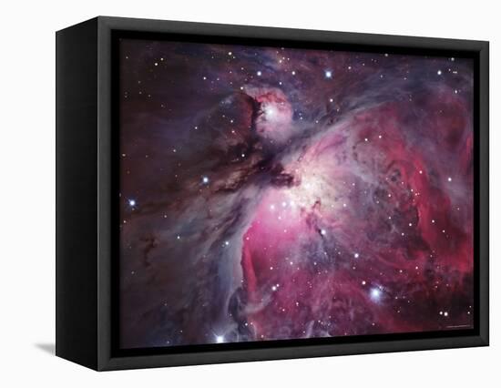 A Close up of the Orion Nebula-Stocktrek Images-Framed Premier Image Canvas