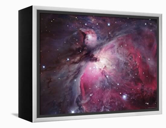 A Close up of the Orion Nebula-Stocktrek Images-Framed Premier Image Canvas