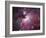 A Close up of the Orion Nebula-Stocktrek Images-Framed Photographic Print