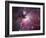 A Close up of the Orion Nebula-Stocktrek Images-Framed Photographic Print