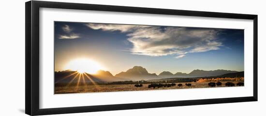 A Cloud Formation And Bison At Sunset Over The Teton Range In Autumn Near Jackson, Wyoming-Jay Goodrich-Framed Photographic Print