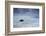 A cloudy but dramatic sunset on Itamambuca beach, Sao Paulo, Brazil.-Alex Saberi-Framed Photographic Print