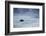 A cloudy but dramatic sunset on Itamambuca beach, Sao Paulo, Brazil.-Alex Saberi-Framed Photographic Print