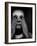 A Clowns Death (Serie)-Johan Lilja-Framed Photographic Print