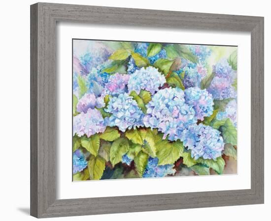 A Cluster of Hydrangeas-Joanne Porter-Framed Giclee Print