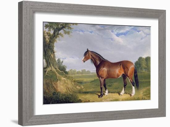 A Clydesdale Stallion, 1820-John Frederick Herring I-Framed Giclee Print