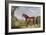 A Clydesdale Stallion, 1820-John Frederick Herring I-Framed Giclee Print